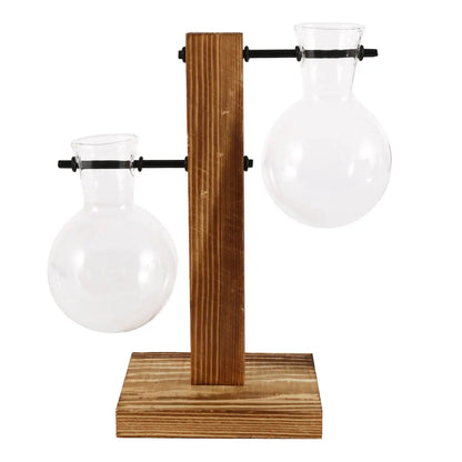 Glass Bulb Planter with Wooden Stand – Minimal Hydroponic Vase