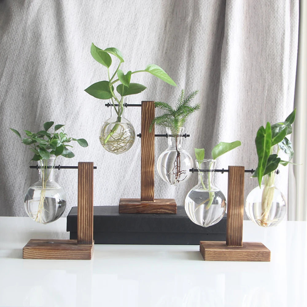 Glass Bulb Planter with Wooden Stand – Minimal Hydroponic Vase