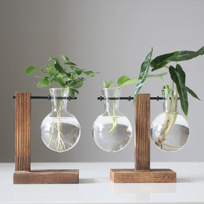 Glass Bulb Planter with Wooden Stand – Minimal Hydroponic Vase
