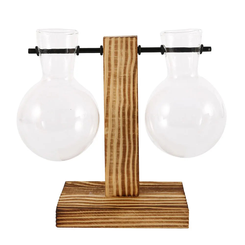 Glass Bulb Planter with Wooden Stand – Minimal Hydroponic Vase