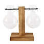 Glass Bulb Planter with Wooden Stand – Minimal Hydroponic Vase