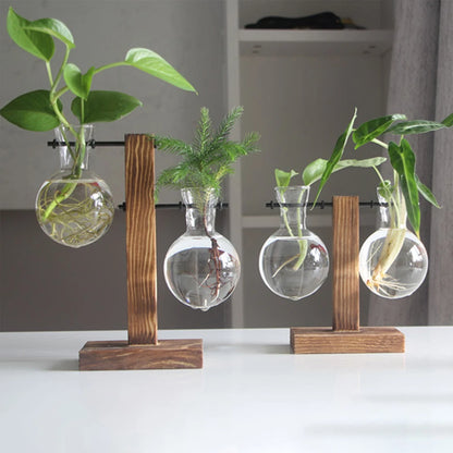 Glass Bulb Planter with Wooden Stand – Minimal Hydroponic Vase